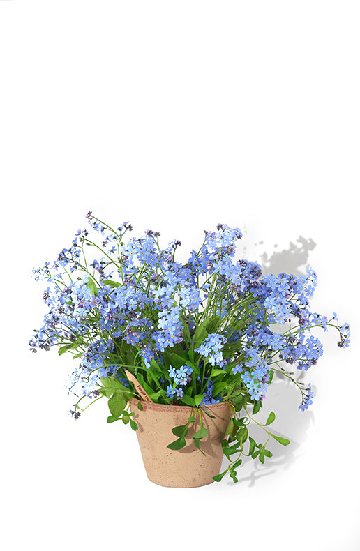 LUMA PROMO - Matita semi "SPROUT" personalizzata in UV-Digitale
