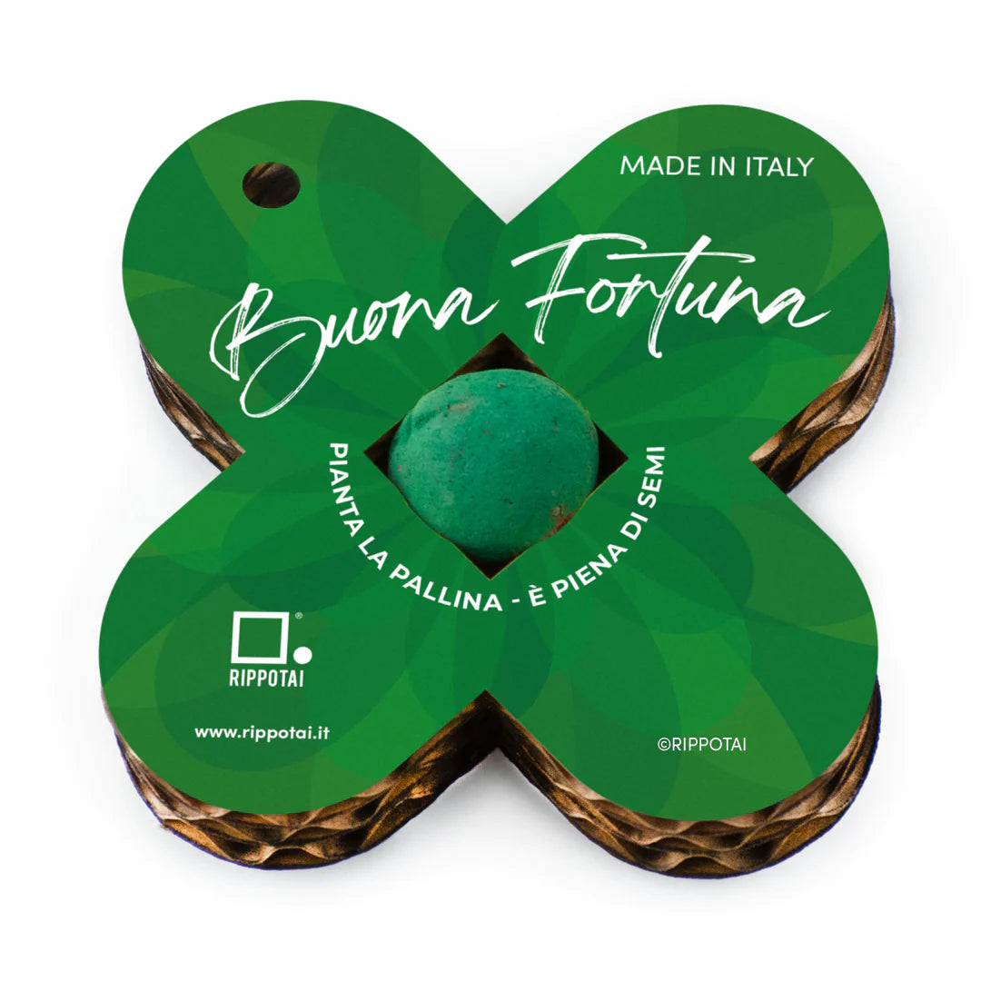 Quadrifoglio palline semi ecologico portafortuna che sboccia! - 2 pezzi