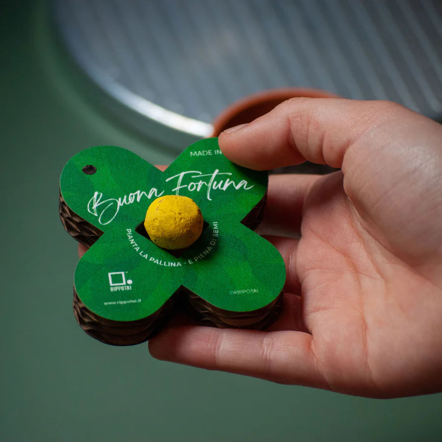 Quadrifoglio palline semi ecologico portafortuna che sboccia! - 2 pezzi