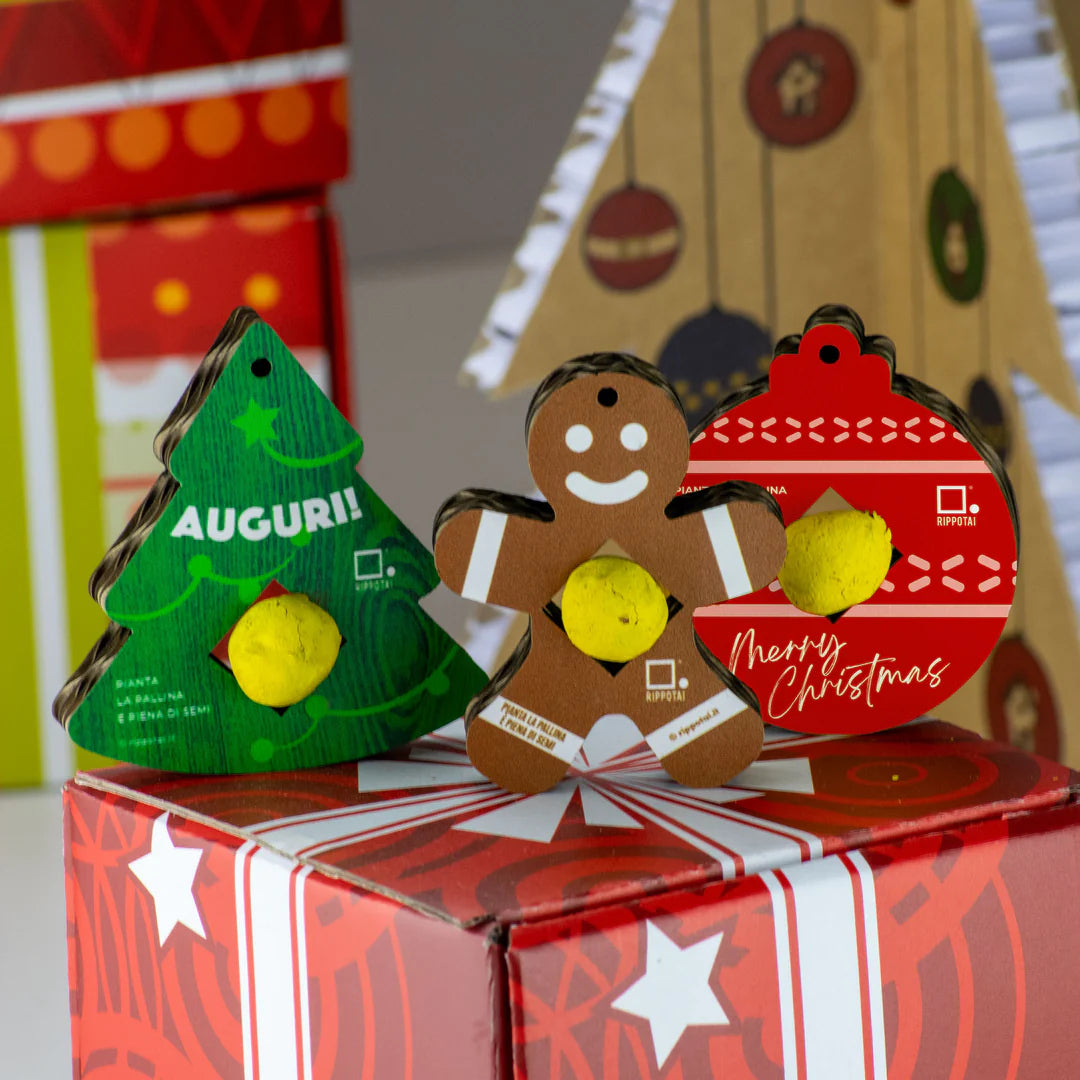 Set regalo Decorazioni Natalizie Palline Semi
