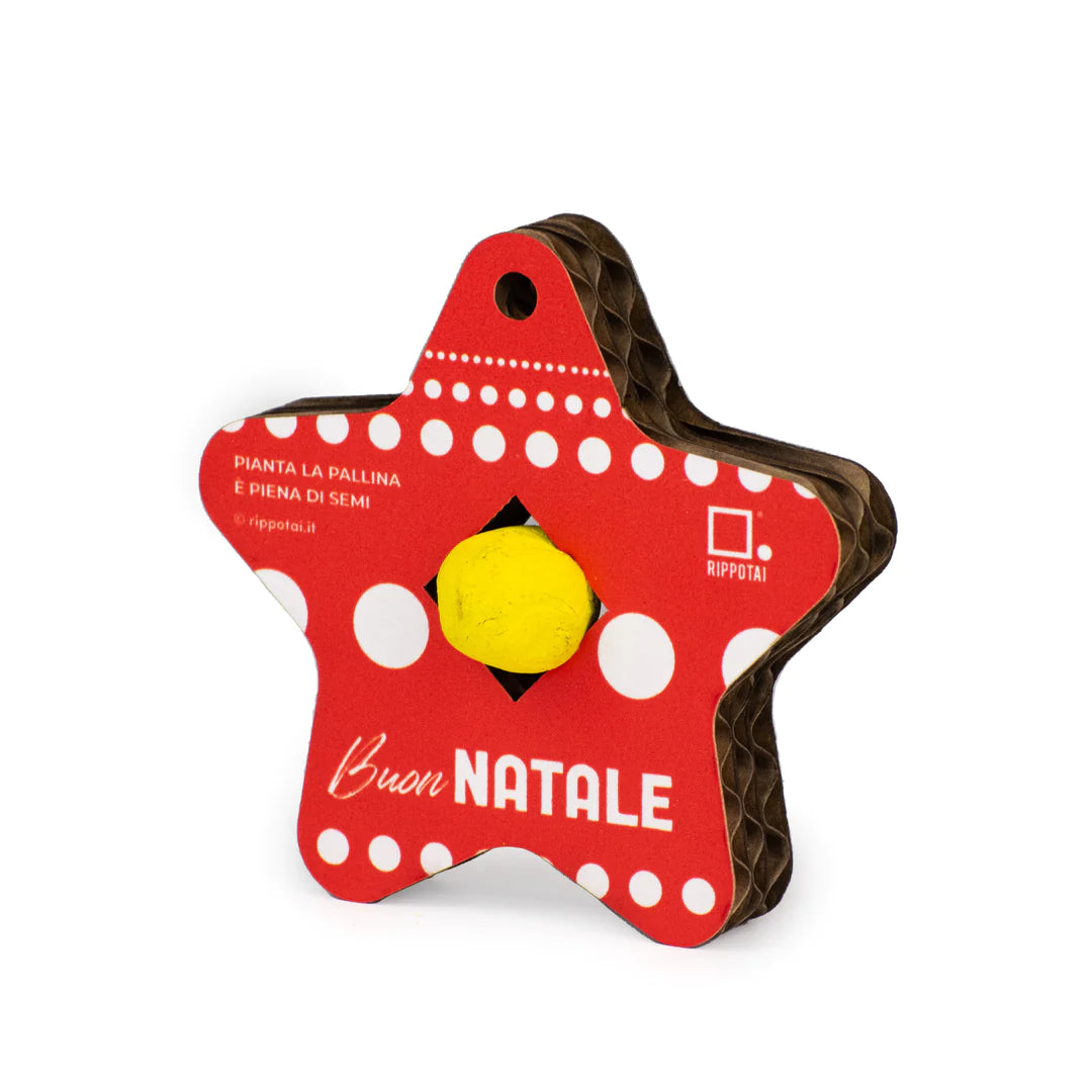 Set regalo Decorazioni Natalizie Palline Semi